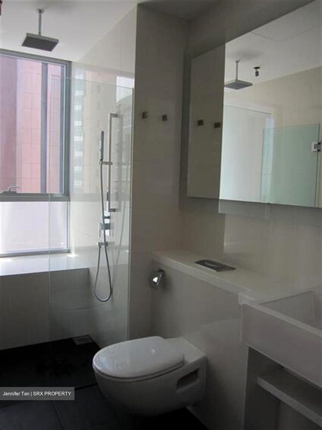 Lumiere (D2), Apartment #568340151